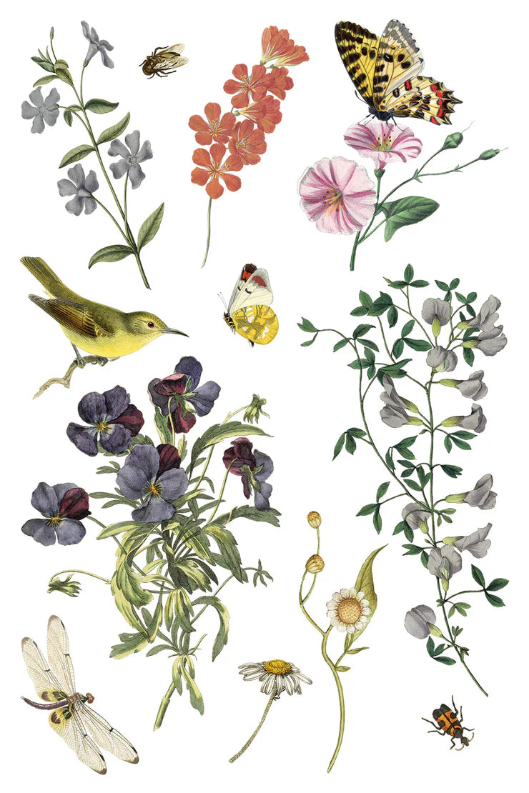 Wilde Bloemen Transfer by Iron Orchid Designs IOD Spring 2025 Launch