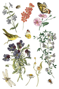 Wilde Bloemen Transfer by Iron Orchid Designs IOD Spring 2025 Launch