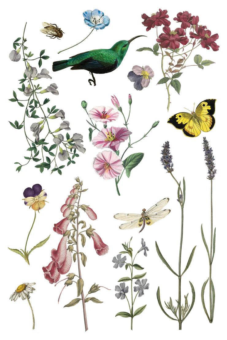 Wilde Bloemen Transfer by Iron Orchid Designs IOD Spring 2025 Launch