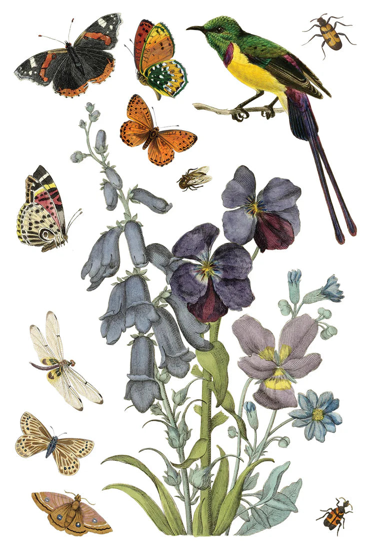 Wilde Bloemen Transfer by Iron Orchid Designs IOD Spring 2025 Launch