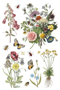Wilde Bloemen Transfer by Iron Orchid Designs IOD Spring 2025 Launch