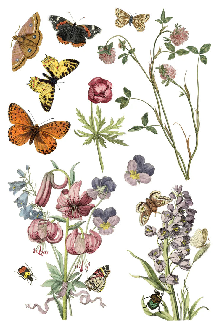 Wilde Bloemen Transfer by Iron Orchid Designs IOD Spring 2025 Launch