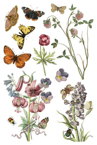 Wilde Bloemen Transfer by Iron Orchid Designs IOD Spring 2025 Launch
