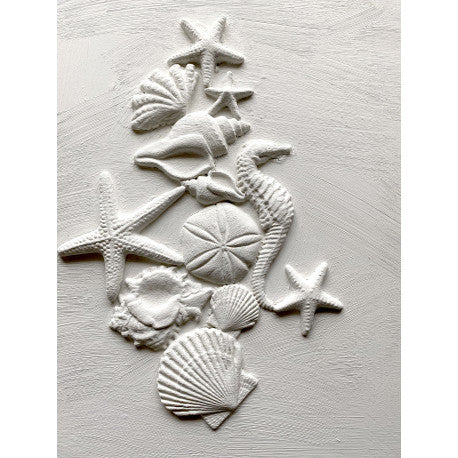 Sea Shell Mould by Iron Orchid Designs