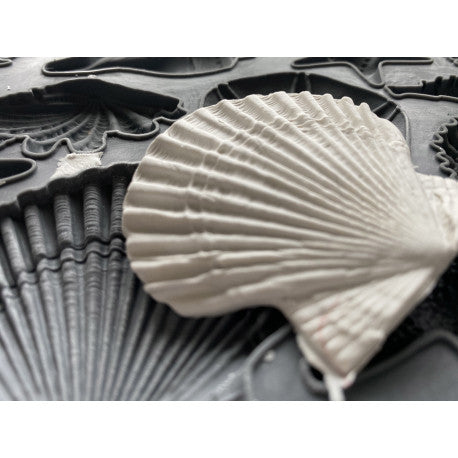 Sea Shell Mould by Iron Orchid Designs