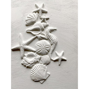 Sea Shell Mould by Iron Orchid Designs