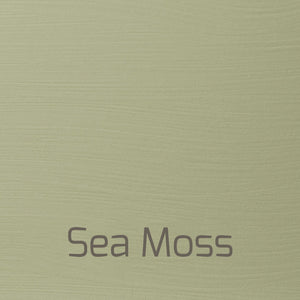 Sea Moss - Vintage-Vintage-Autentico Paint Online